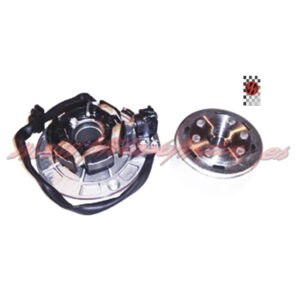 Plato Magnético de Pit Bike