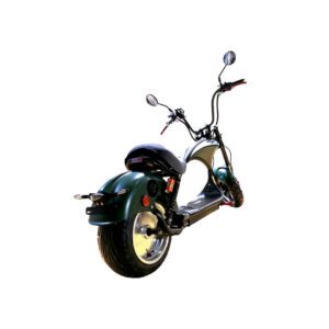 Citycoco Custom 2000w 60AH LITIO