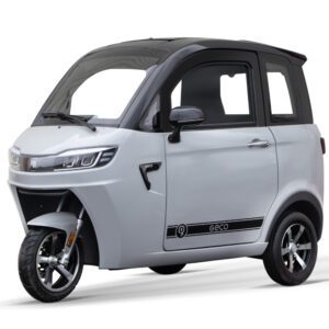 coche electrico adulto