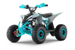 Quad Nitro Milano Replay Snowy 1200W 48V Tire XL Sport 6"